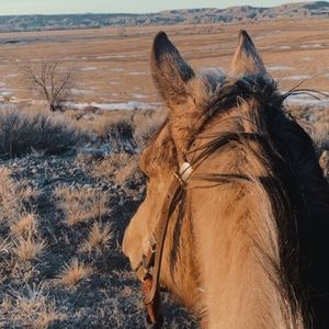 Meet your Posher, Virginia